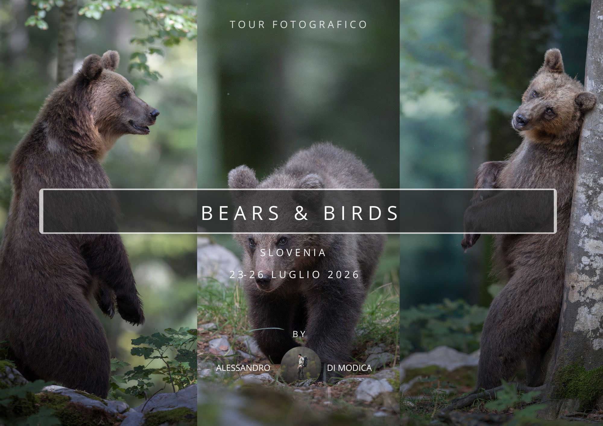 BEARS & BIRDS 23 - 26 LUGLIO 2026